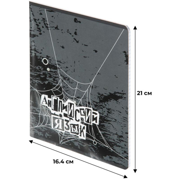 Тетрадь предметная по английскому языку №1 School Панк А5 48 листов  разноцветная в клетку УФ-сплошной глянцевый лак