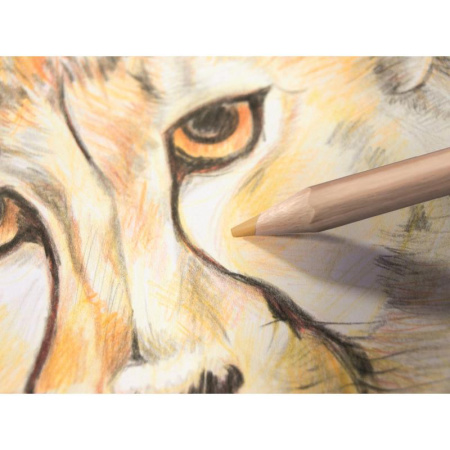 Карандаши цветные Milan 12 цветов Карандаши цветные Milan 12 цветов