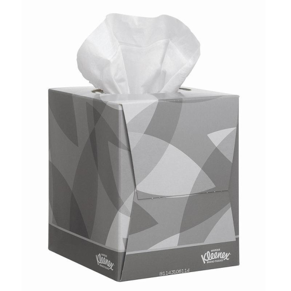 Салфетки косметические Kimberly Clark 8834 Kleenex 2-слойные (12 упаковок по 88 штук)