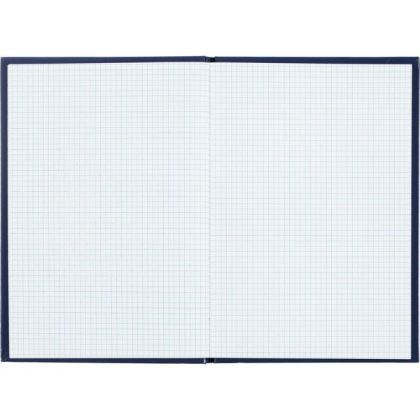 Книга учета 80 листов A4 в клетку на сшивке блок офсет (обложка из  бумвинила)