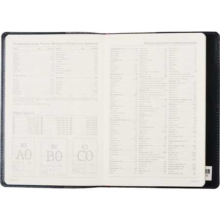 Ежедневник полудатированный Bruno Visconti Profy натуральная кожа А5 208 листов синий (золотистый обрез, 152x222 мм) (артикул производителя 3-073/01)