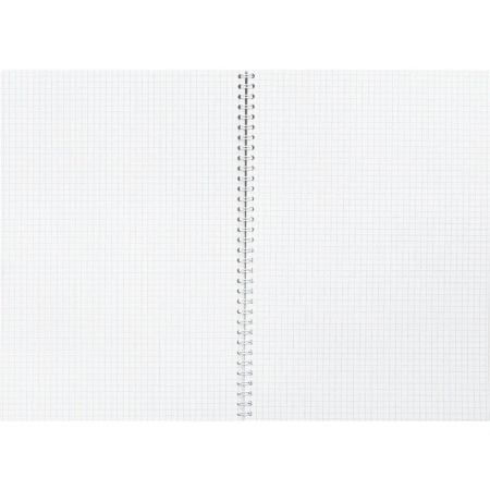 Бизнес-тетрадь Attache Selection Pastel A4 80 листов разноразноцветная в  клетку на спирали (203x290 мм)