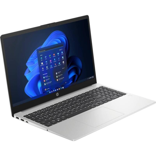 Ноутбук HP 250 G10 (85C48EA)