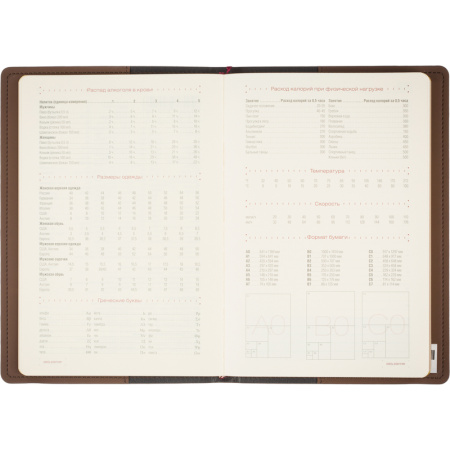 Ежедневник недатированный Bruno Visconti Oxford искусственная кожа А5 136 листов коричневый (162x238 мм) (артикул производителя 3-214/06) Ежедневник недатированный Bruno Visconti Oxford искусственная кожа А5 136 листов коричневый (162x238 мм) (артикул производителя 3-214/06)