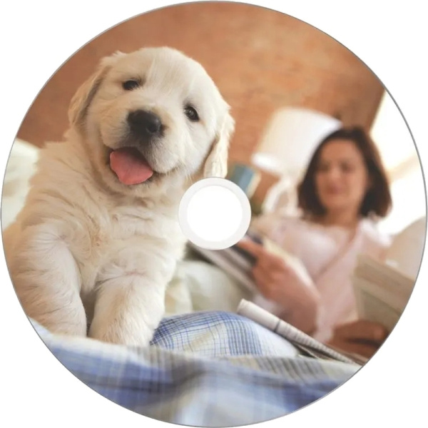Диск DVD-R Verbatim 4.7 ГБ 16x cake box 43755 (50 штук в упаковке)
