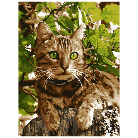 Картина по номерам Зеленоглазый котик