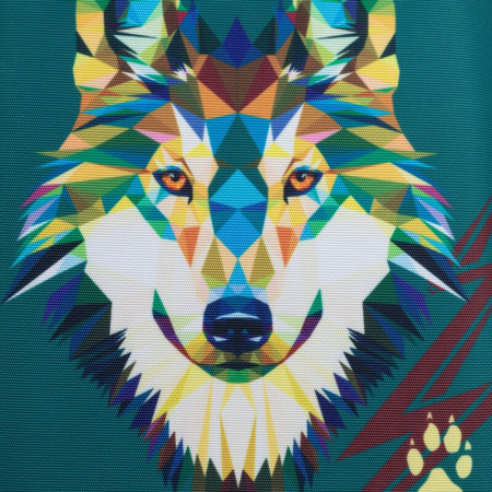 Ранец Комус Класс Light зеленый (волк) с одним отделением