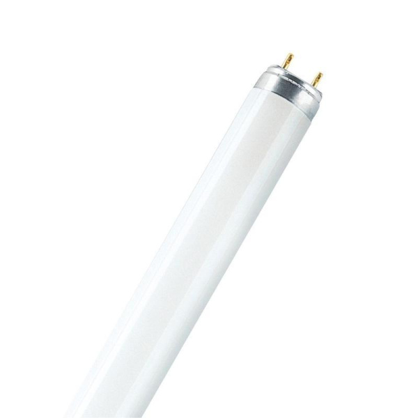 Лампа люминесцентная Osram Lumilux L 18W/865 18 Вт G13 T8 6500 К (4008321581280, 25 штук в упаковке)