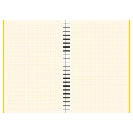 Бизнес-тетрадь Attache Selection Spring Book A4 150 листов желтая в клетку на спирали (230х297 мм) Бизнес-тетрадь Attache Selection Spring Book A4 150 листов желтая в клетку на спирали (230х297 мм)