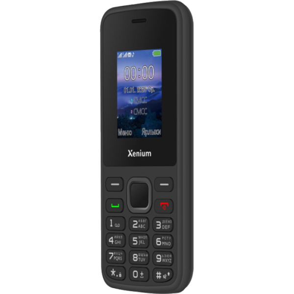Мобильный телефон Xenium X175 чёрный (CTX175BK/00)