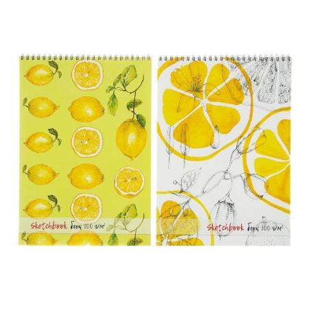 Скетчбук Полином А4 40 листов