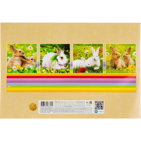 Альбом для рисования Hatber Бархатные ушки А4 40 листов (обложка в  ассортименте)