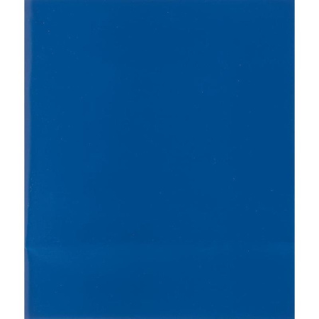 Тетрадь общая А5 48 листов в клетку на скрепке (обложка синяя)