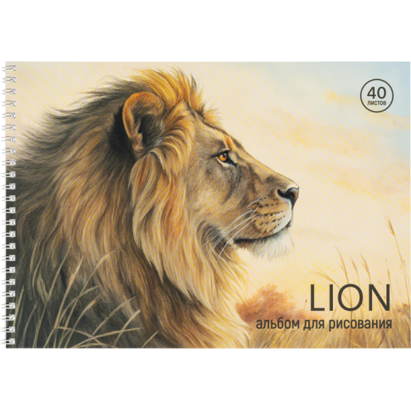 Альбом для рисования Комус Класс Сафари А4 40 листов (2 штуки в  упаковке)