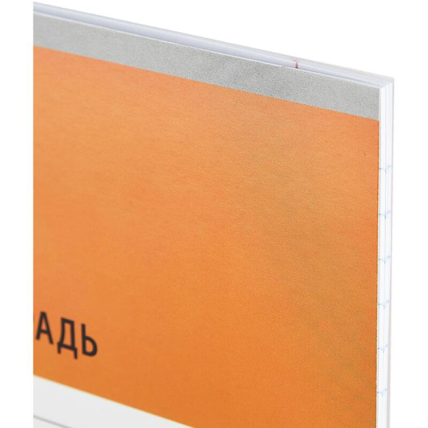 Тетрадь школьная оранжевая №1 School Интенсив А5 18 листов в линейку (10  штук в упаковке)