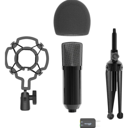 Микрофон Ritmix RDM-160 (80000132) Микрофон Ritmix RDM-160 (80000132)
