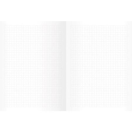 Бизнес-тетрадь Канц-Эксмо Соты А4 100 листов разноцветная в клетку на  сшивке (210х290 мм)