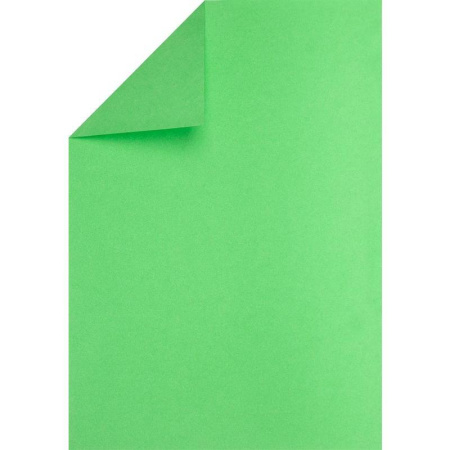 Бумага цветная №1 School Шустрики (А4, 10 листов, 10 цветов, офсетная, тонированная)