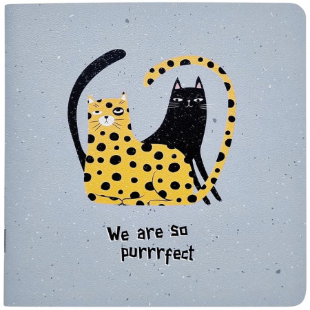 Блокнот Be Smart Silly 40 листов разноцветный без линовки на скрепке  (170х170 мм)