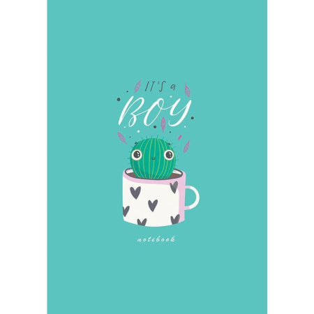 Блокнот Апплика А6 80 листов в клетку на гребне