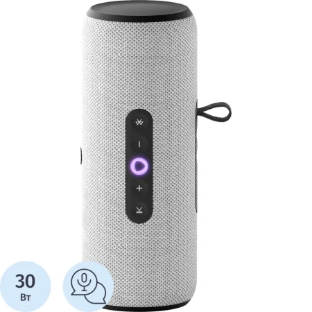Умная колонка Яндекс Станция Стрит серая (YNDX-00030GRY) Умная колонка Яндекс Станция Стрит серая (YNDX-00030GRY)