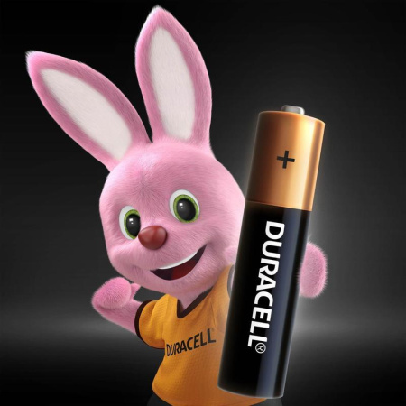 Батарейки Duracell Basic мизинчиковые ААA LR03 (8 штук в упаковке)
