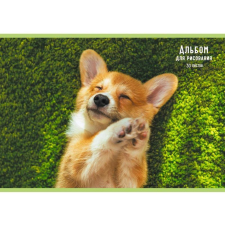 Альбом для рисования Канц-Эксмо Милый корги А4 30 листов