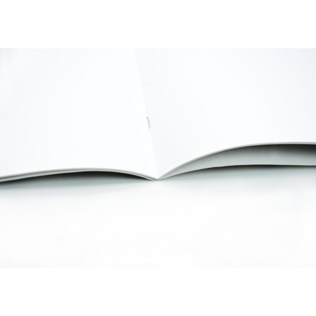 Альбом для рисования Апплика Веселые лисята А4 12 листов (5 альбомов)