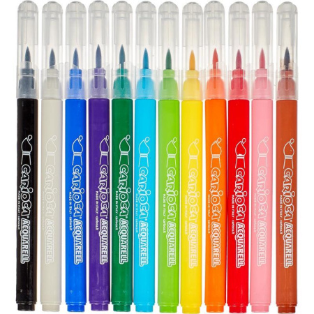 Фломастеры Carioca Acquarell 12 цветов