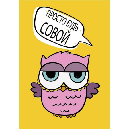 Блокнот Centrum Сова А6 56 листов в клетку на скрепке