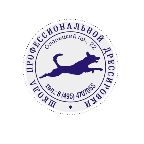 Оснастка для печати круглая Colop Stamp Mouse R40 40 мм черная