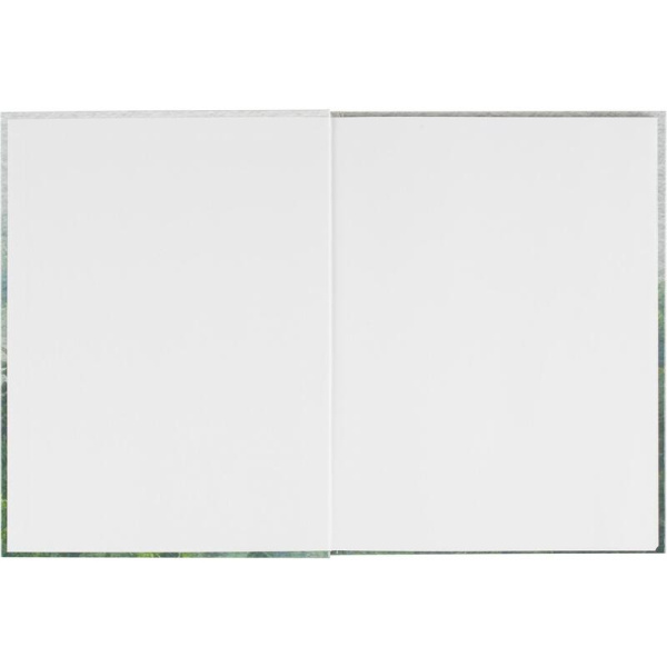 Бизнес-тетрадь Attache Economy Forest А4 120 листов в клетку на сшивке  (195x257 мм)