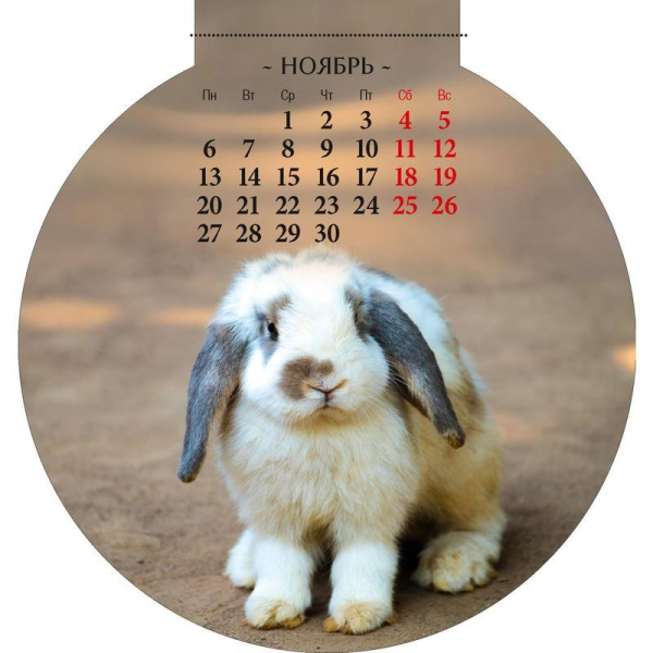 Календарь настенный моноблочный 2023 год Символ года (140х148 мм)