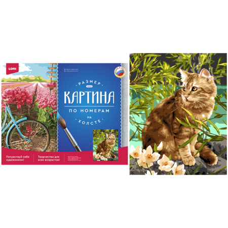 Картина по номерам Кошечка на прогулке