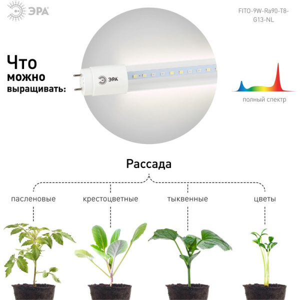 Фитолампа Эра FITO-9W-Ra90-Т8-G13-NL полного спектра 9 Вт G13