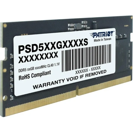Модуль памяти Patriot Memory PSD516G520081S DDR5 16 ГБ