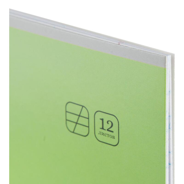 Тетрадь школьная зеленая Комус Класс ColorPics А5 12 листов в косую  линейку (10 штук в упаковке)