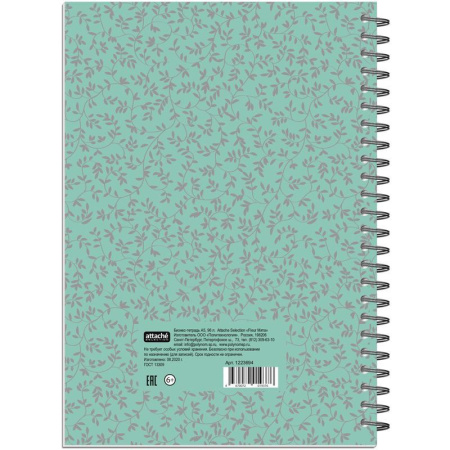 Бизнес-тетрадь Attache Fleur Мята A5 96 листов разноцветная в точку на спирали (145x203 мм) Бизнес-тетрадь Attache Fleur Мята A5 96 листов разноцветная в точку на спирали (145x203 мм)