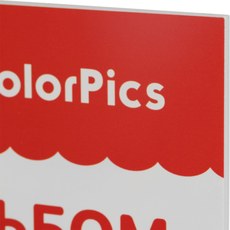 Альбом для рисования Комус Класс ColorPics Веселые джунгли А4 24 листа  животные