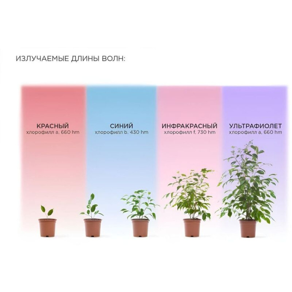 Фитосветильник In Home СПБ-Т5-ФИТО красно-синего спектра 10 Вт