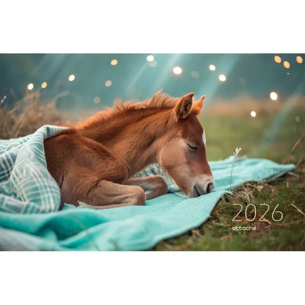 Календарь настенный 3-х блочный 2026 Жеребёнок 30.5x67.5 см