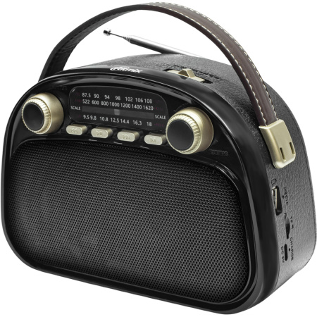 Радиоприемник Ritmix RPR-040 черный (80004179)