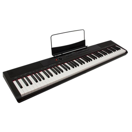 Пианино цифровое Denn Pro PW01