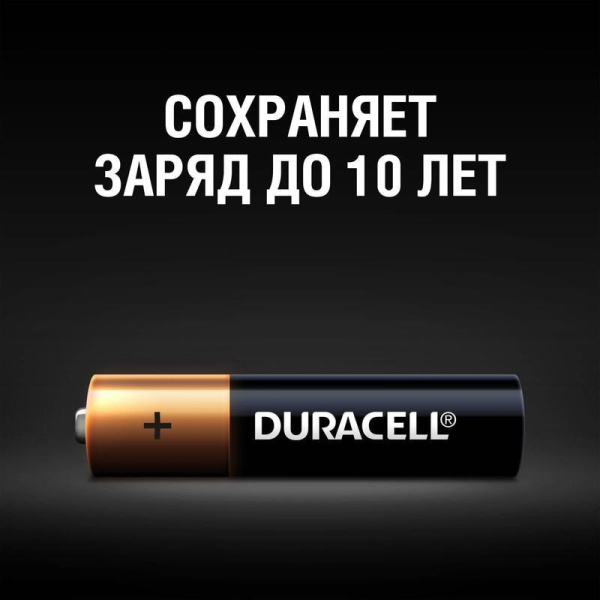 Батарейки Duracell Professional мизинчиковые ААA LR03 (2 штуки в упаковке)
