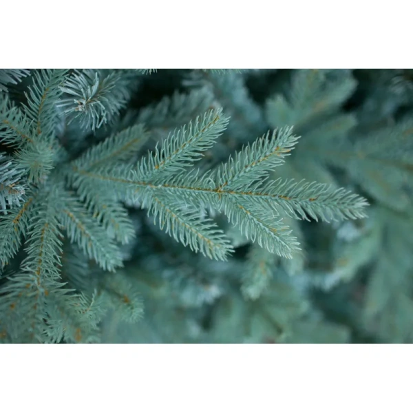 Ёлка искусственная новогодняя Green Trees Россо Премиум напольная 2.1 м