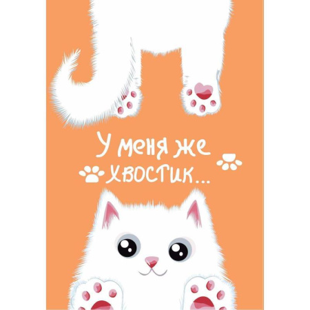 Блокнот Centrum Хвостик белый А6 56 листов в клетку на скрепке Блокнот Centrum Хвостик белый А6 56 листов в клетку на скрепке