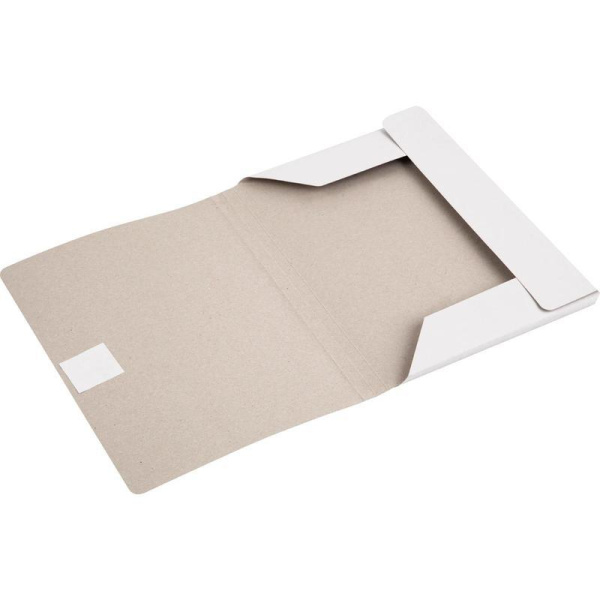 Папка для бумаг с завязками (280 г/кв.м, мелованная, 10 штук в упаковке)