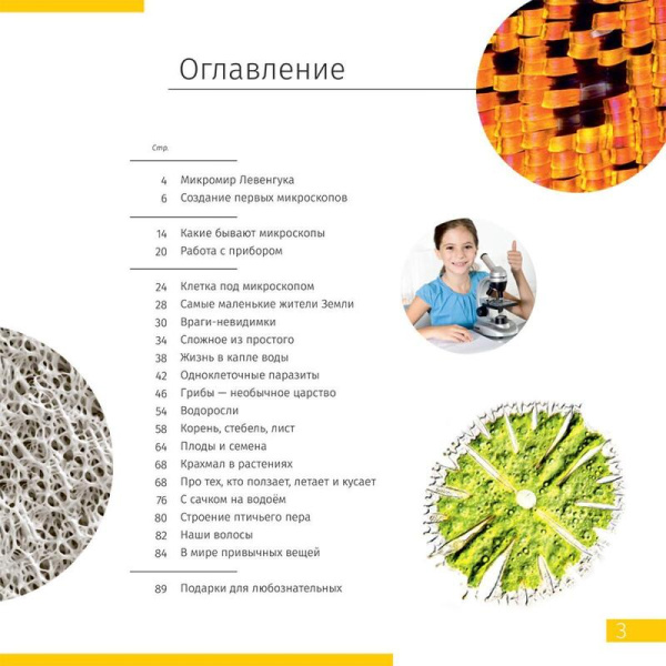 Микроскоп Levenhuk Discovery Centi 01 увеличение 300x монокулярный