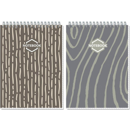 Блокнот Полином Стильный офис А5 60 листов в ассортименте в клетку на спирали (145x203 мм)