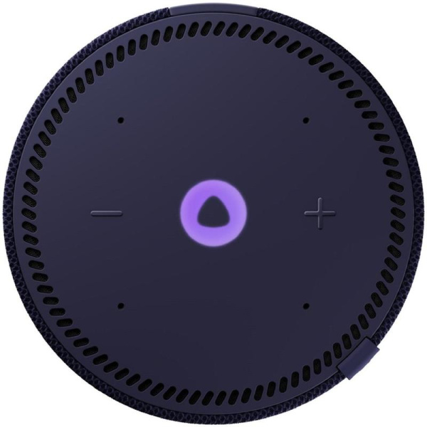 Умная колонка Яндекс.Станция Мини с часами cиняя (YNDX-00020B)